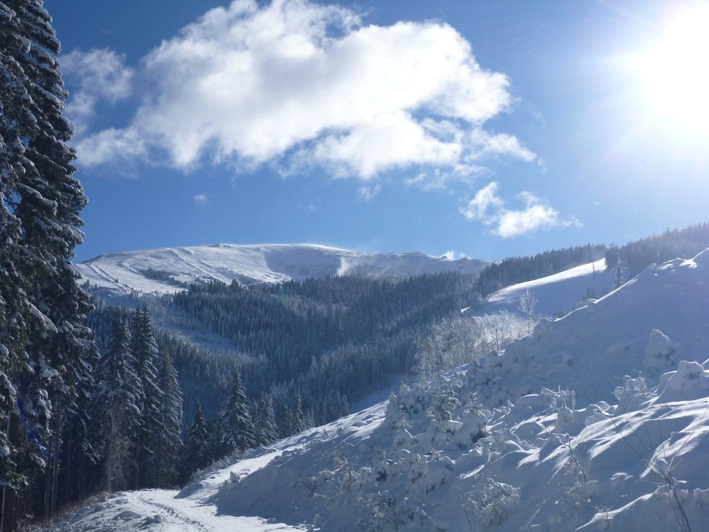 Feriendorf Koralpe By Alps Residence Elsenbrunn 외부 사진