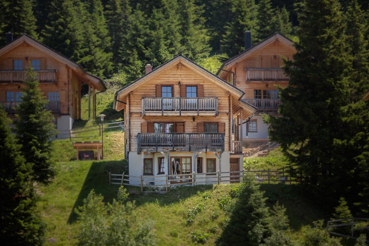 Feriendorf Koralpe By Alps Residence Elsenbrunn 외부 사진